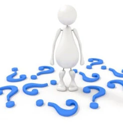 Apfelbaum Stetinger Prinz 60-80cm - Ein Winterapfel