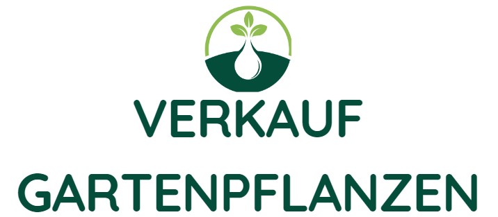 Gartengrünpflanzen Geschäft